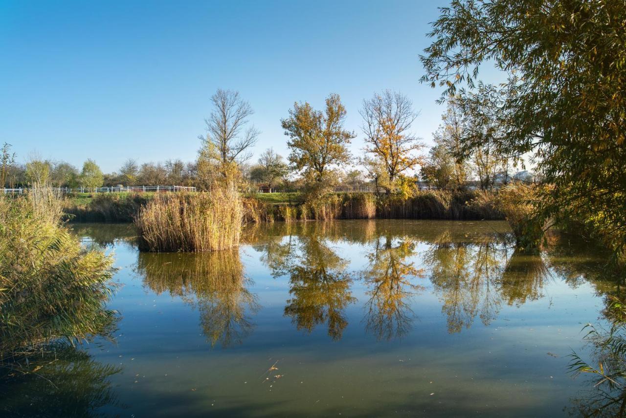 Csodaszarvas Vendégházak Rabahidveg Esterno foto